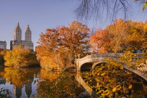 Bow Bridge Przekraczając Spokojne Jezioro W Jesiennym Parku