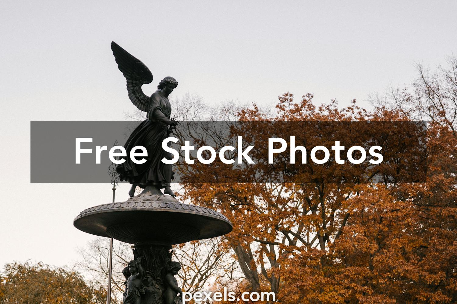 160+ Bethesda Fountain Stock Photos, Pictures & Royalty-Free