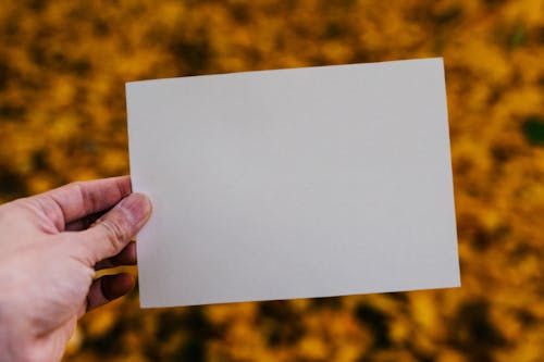 Person showing blank paper against autumn foliage