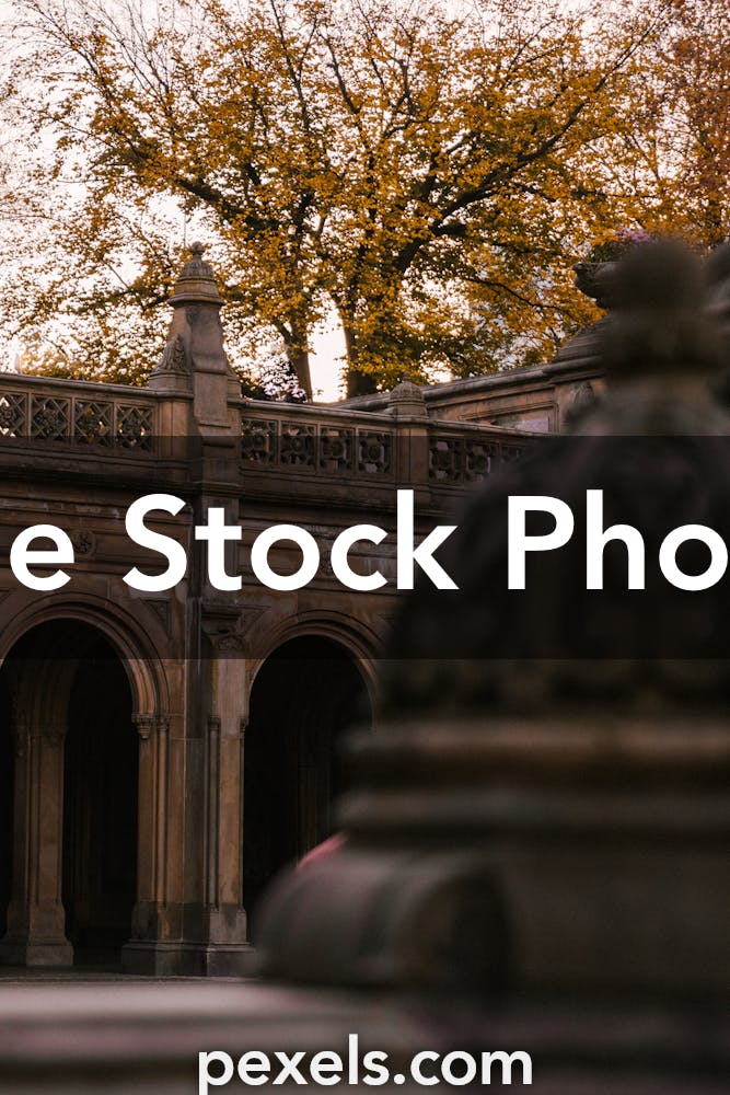 1,500+ Bethesda Terrace Stock Photos, Pictures & Royalty-Free