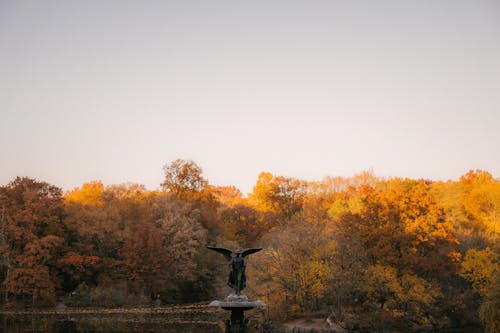 Fragment of Bethesda Fountain statue of Angel of the Waters against colorful trees placed in autumn Central Park in New York City in sunny day