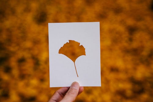 Person holding paper with cut out leaf against blurred yellow background