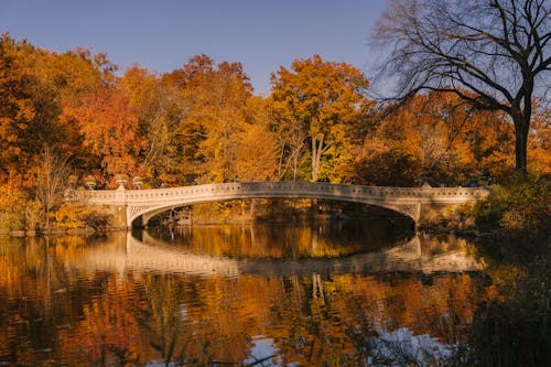 gratis Bow Bridge Over Kalm Meer Dat In De Herfstpark Wordt Geplaatst Stockfoto