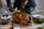 thanksgiving turkey