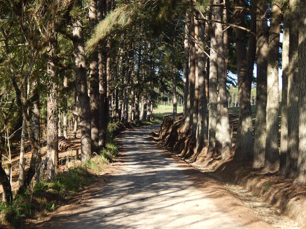 Free stock photo of beautiful, brazil, earth