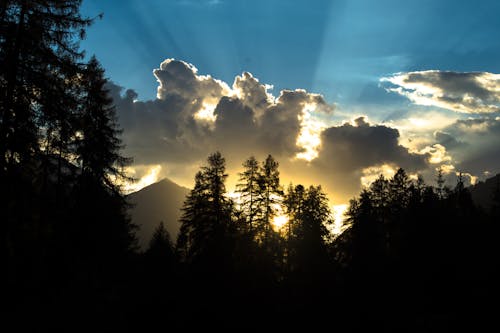 傍晚天空, 傍晚的太陽, 反对光明 的 免费素材图片