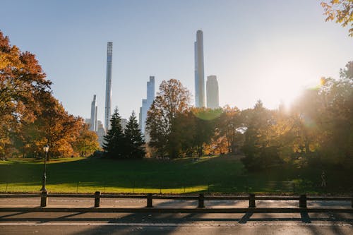 Free City park in sunny day Stock Photo