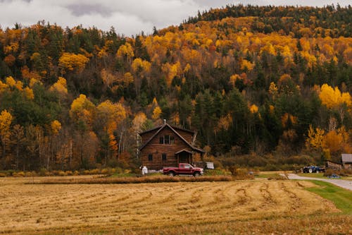 Rural house with field in countryside