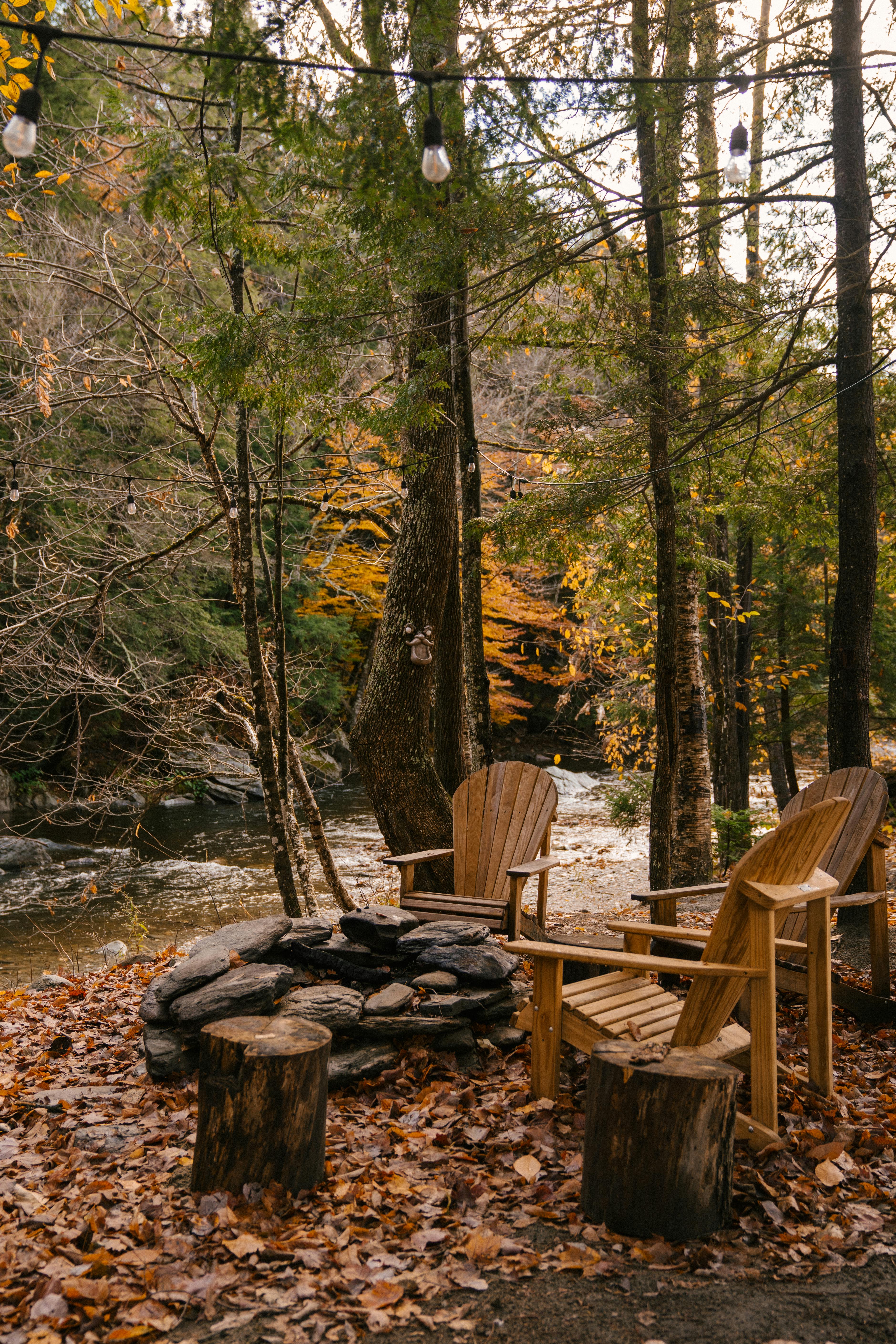 wooden chairs in coniferous forest