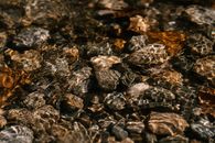 Small stones on bottom under water