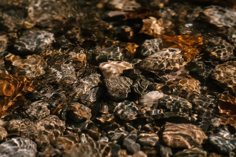 Small Stones On Bottom Under Water