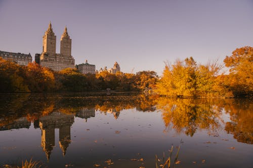 Free Autumn park with skyscraper reflecting in reservoir Stock Photo