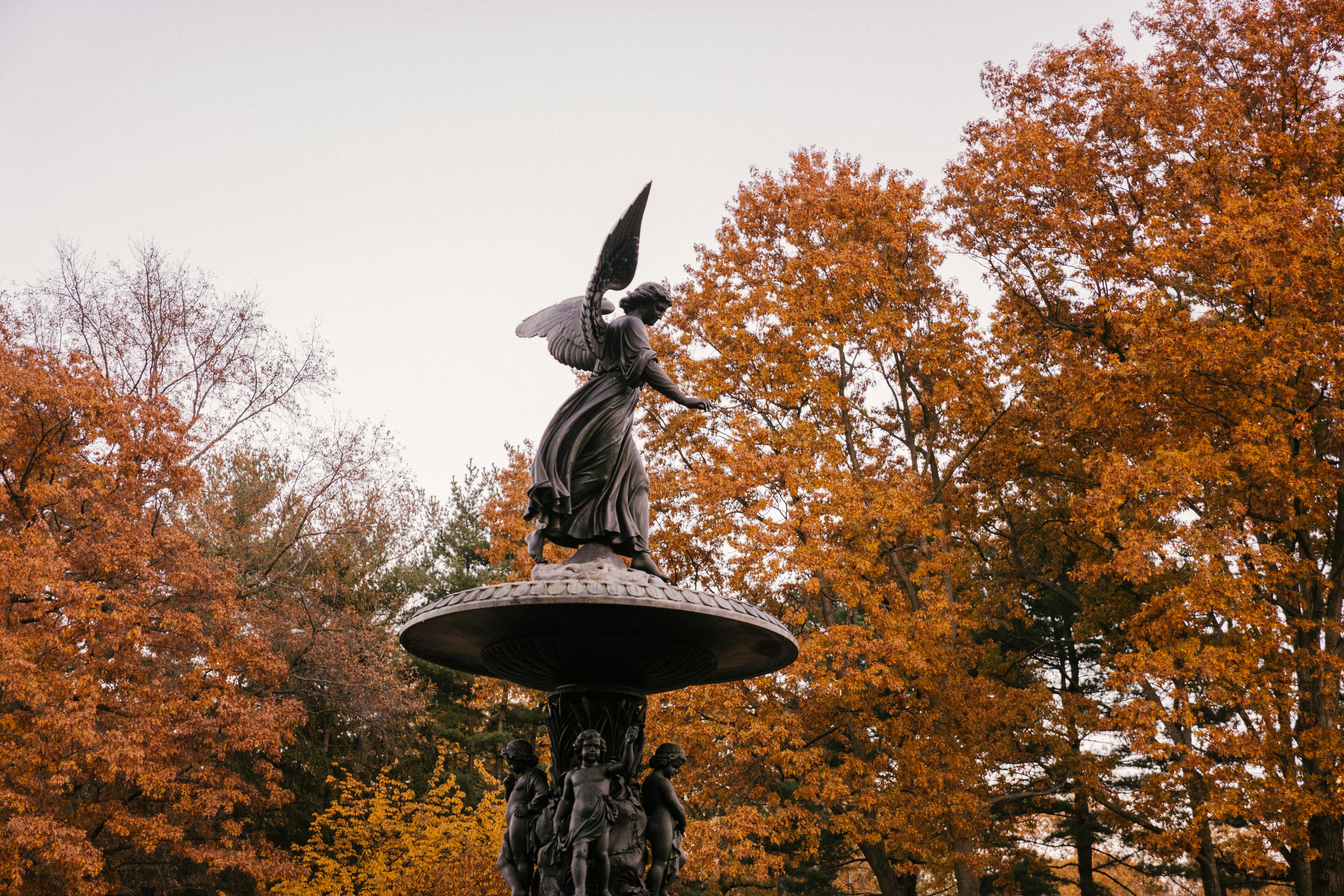 160+ Bethesda Fountain Stock Photos, Pictures & Royalty-Free