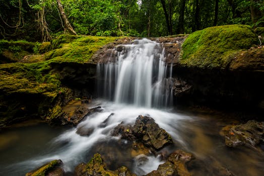 A tranquil waterfall cascades over moss-covered rocks in a lush, green forest setting.