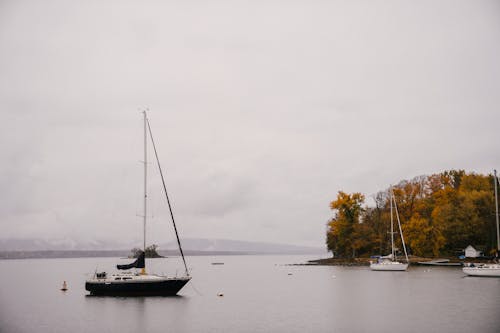 Peaceful yachts on calm gloomy water with autumn trees on shoreline under cloudy sky