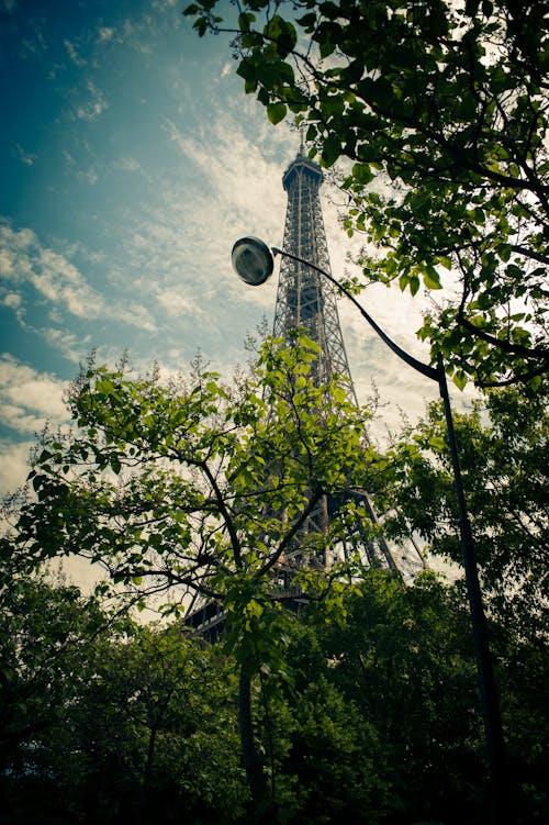 공원, 에펠탑, 여름의 무료 스톡 사진