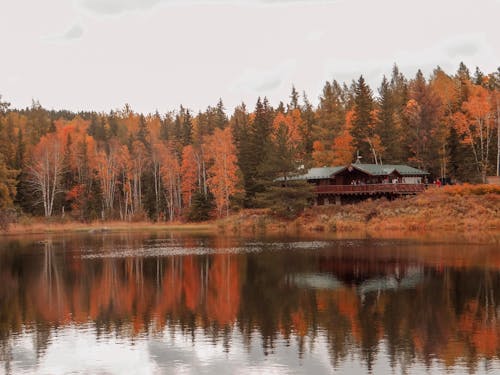 dağ gölü, güz, Kanada içeren Ücretsiz stok fotoğraf