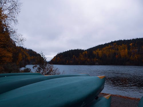 göl kenarı, güz, Kanada içeren Ücretsiz stok fotoğraf