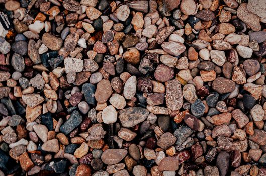Close-up view of assorted pebbles displaying diverse textures and colors.