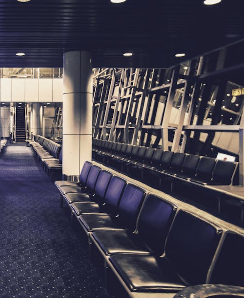 Free stock photo of airport, benches, waiting area