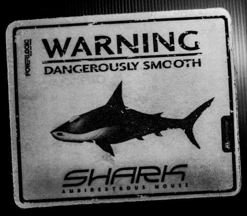 Free stock photo of shark, warning
