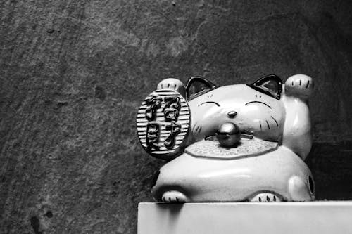 Gratis arkivbilde med japan, katt, neko