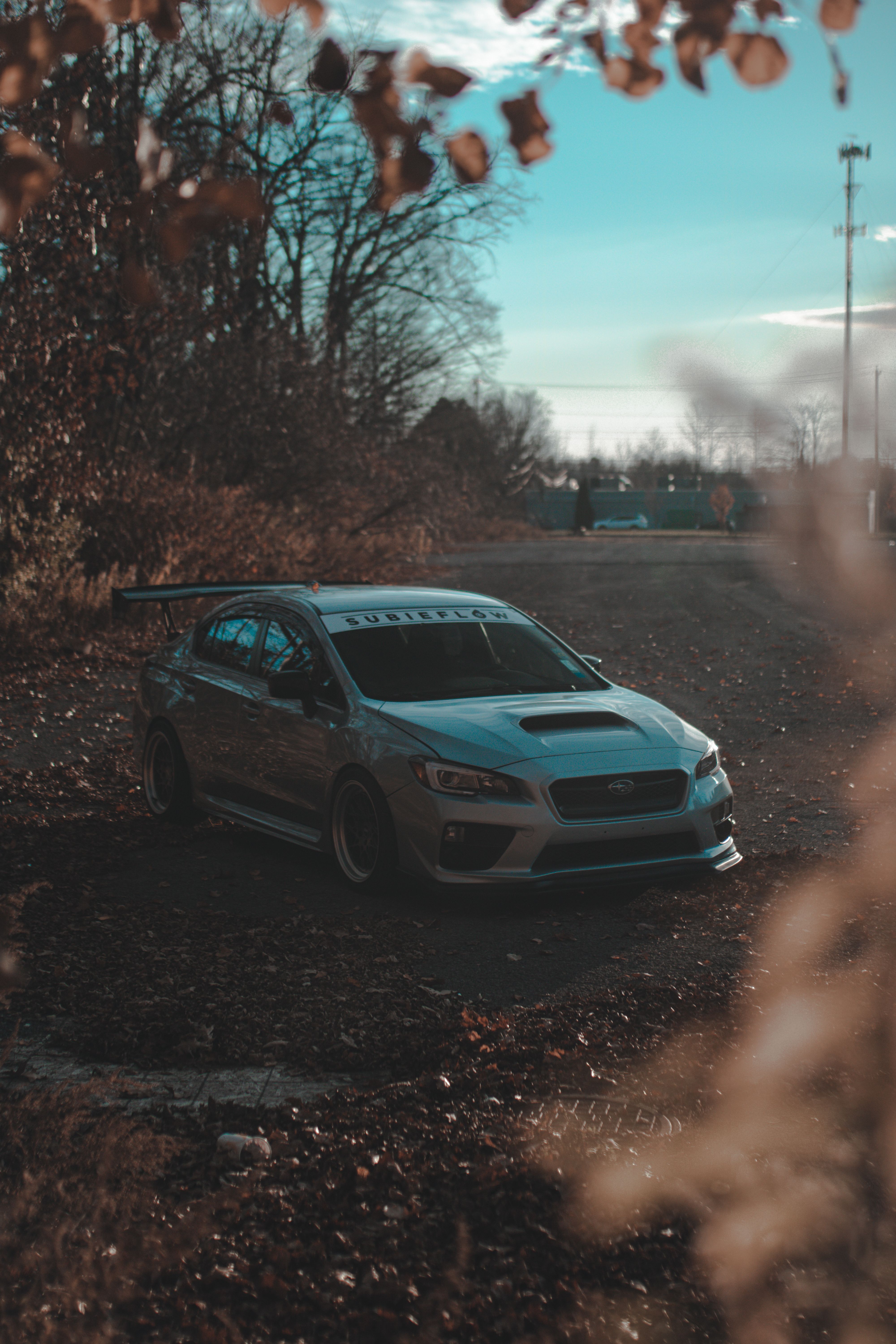 A blue Subaru parked amidst fallen leaves and bare trees on an autumn day.