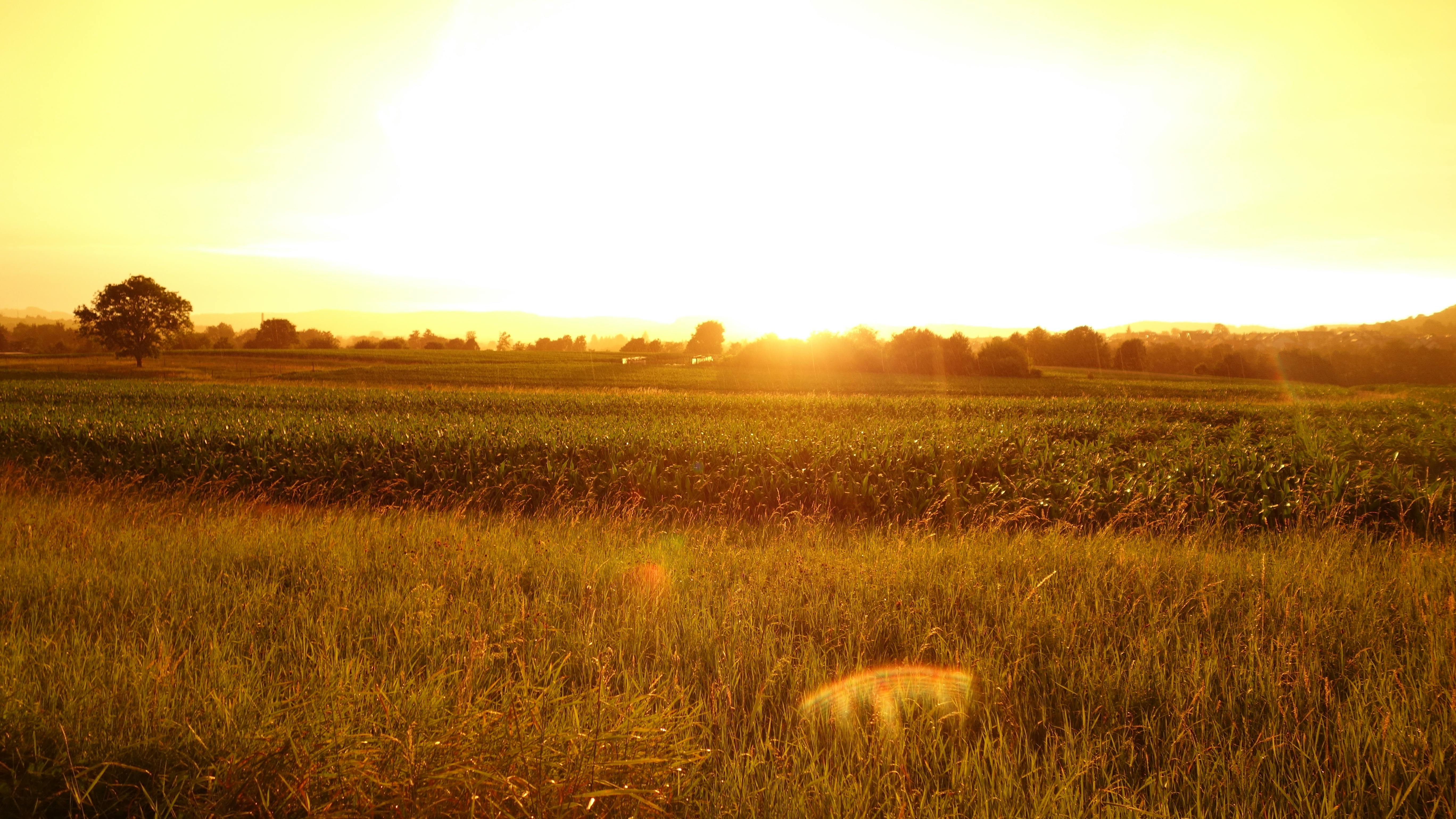 Free stock photo of fields, rain, wet lens
