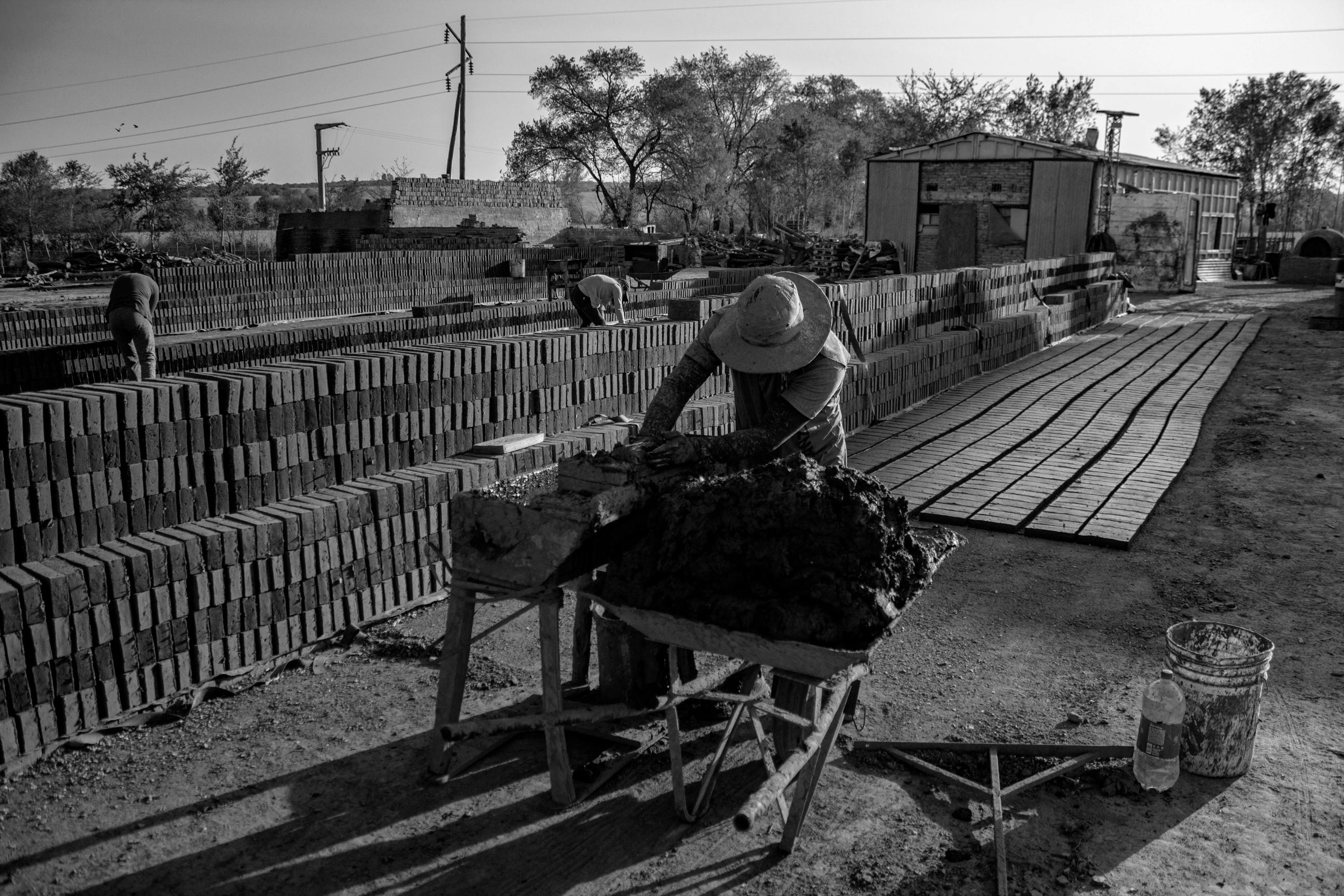 LGBTQ couple reviewing home insemination guide together