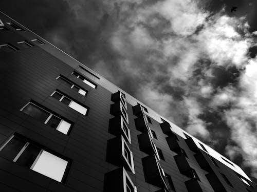 Foto d'estoc gratuïta de arquitectura, blanc i negre, edifici