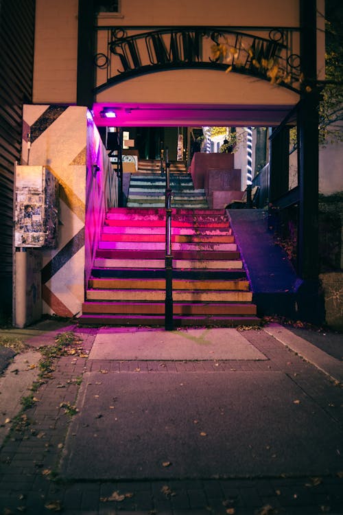 Free Empty staircase in pink light under building facade against rough pavement in city at dusk Stock Photo