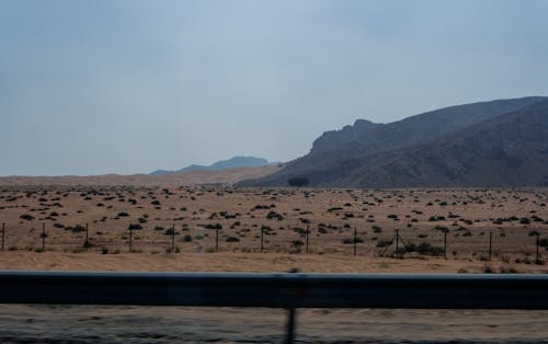 Free stock photo of desert, desert bush, fence Stock Photo