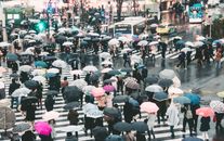 雨天，东京涉谷拥挤的人行横道上，五颜六色的雨伞撑起一片色彩