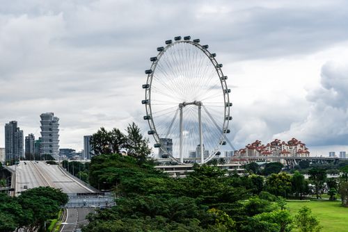 Free Scenic view of Singapore Flyer surrounded by greenery under a cloudy sky. Stock Photo