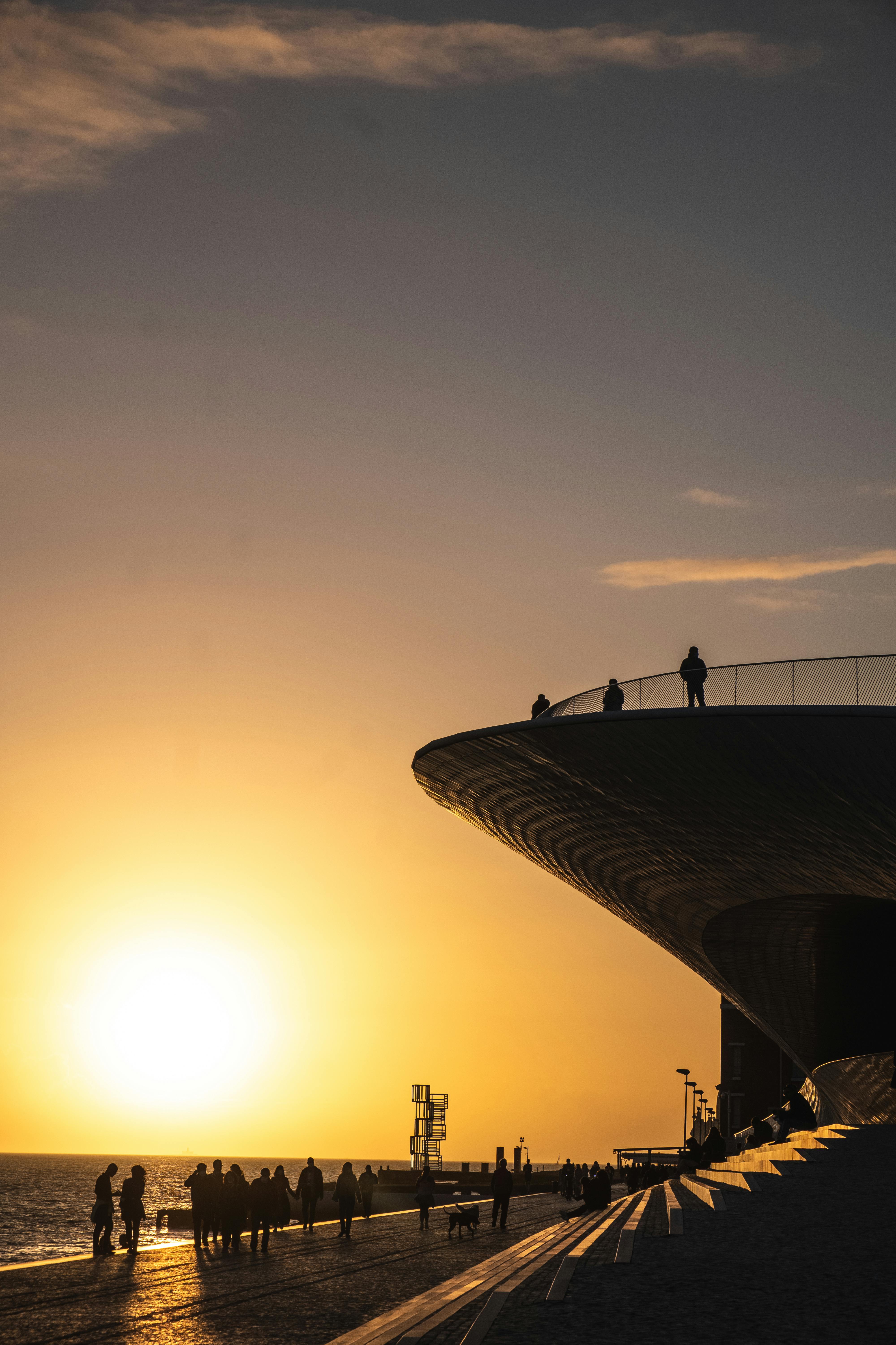 Free People Walking on Beach during Sunset Stock Photo