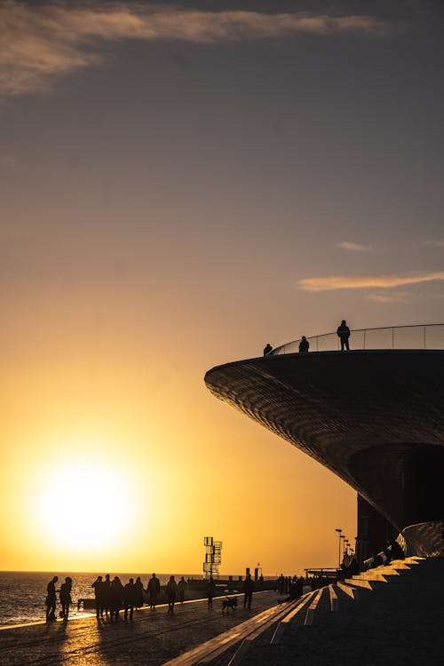 Free People Walking on Beach during Sunset Stock Photo