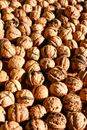 Close Up Shot of Walnuts