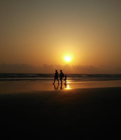 Silhouette of People Walking at the Beach