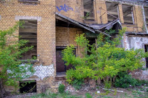 Free Explore a vintage abandoned building in Leipzig surrounded by lush greenery. Stock Photo