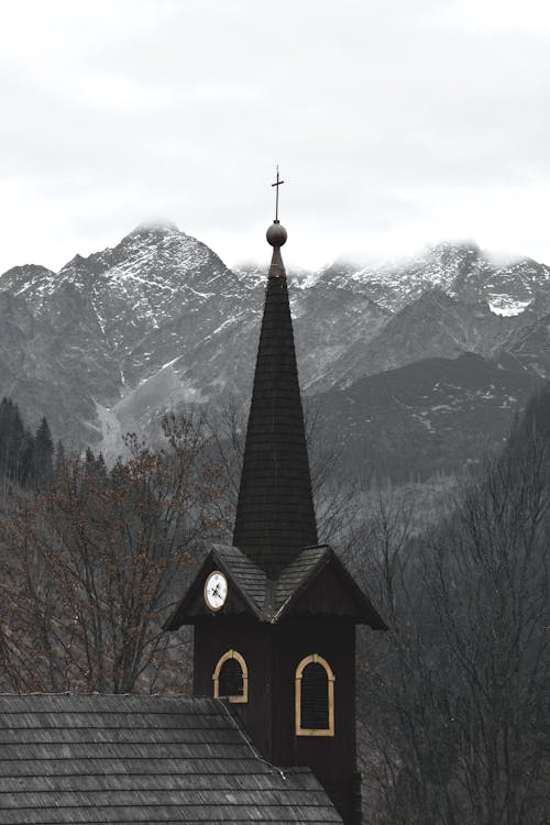 Fotobanka s bezplatnými fotkami na tému architektúra, borovice, cestovať