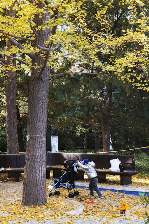 Little Boy Pushing a Stroller in a Park in Autumn 
