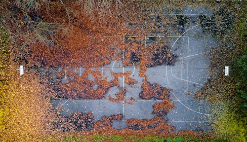 Bezpłatne Darmowe zdjęcie z galerii z boisko do koszykówki, kolor jesieni, martwa natura Zdjęcie z galerii