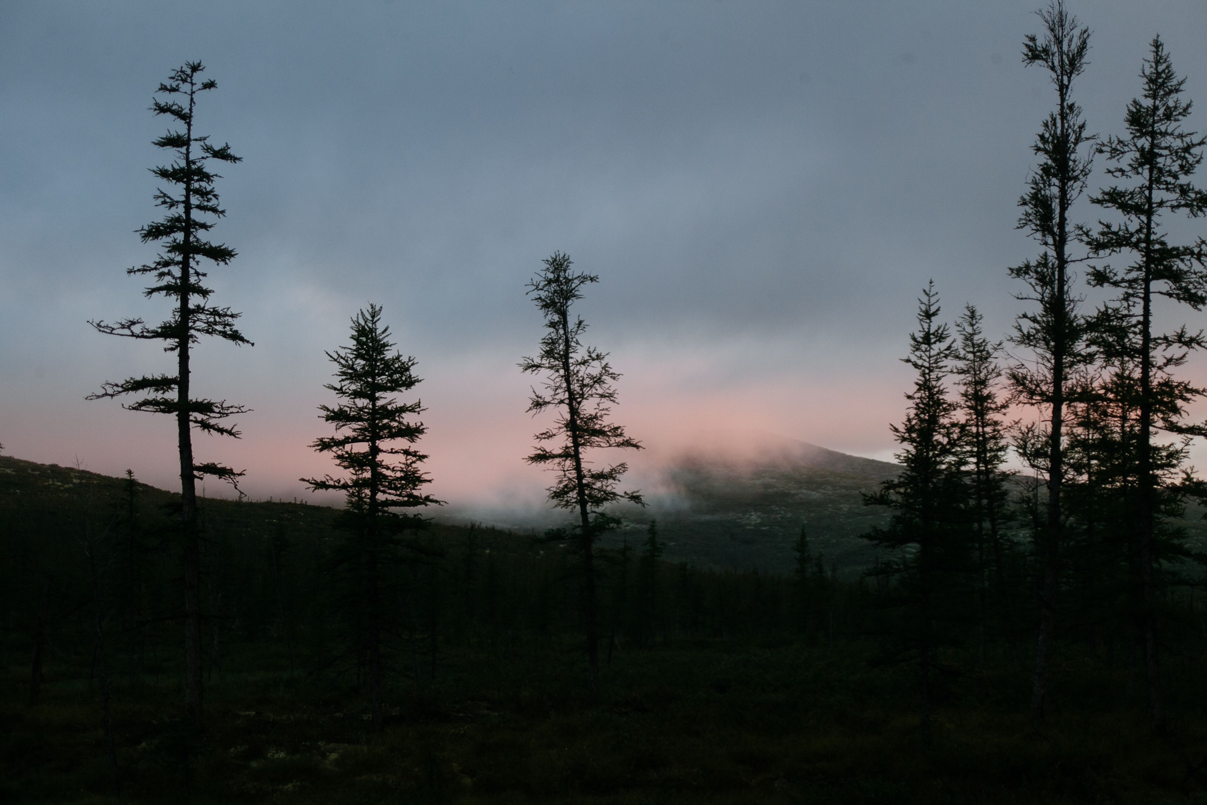 Green meadow with trees on cloudy day · Free Stock Photo