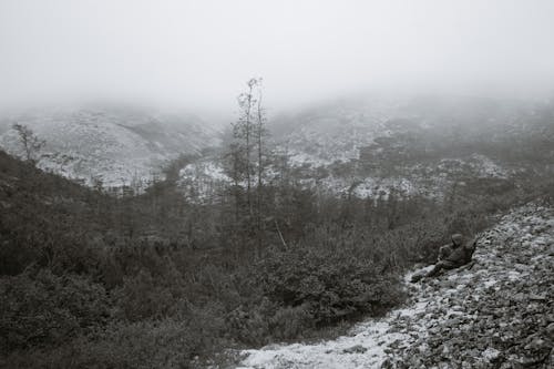 Side view of black and white unrecognizable male hiker in warm outerwear and backpack relaxing on snowy hill slope near fores growing in mountainous valley against foggy sky