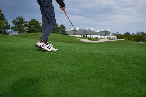 Základová fotografie zdarma na téma golf, hraní, osoba