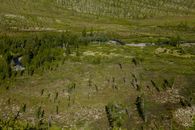 Drone view of landscape with empty terrain in green woods with deciduous trees