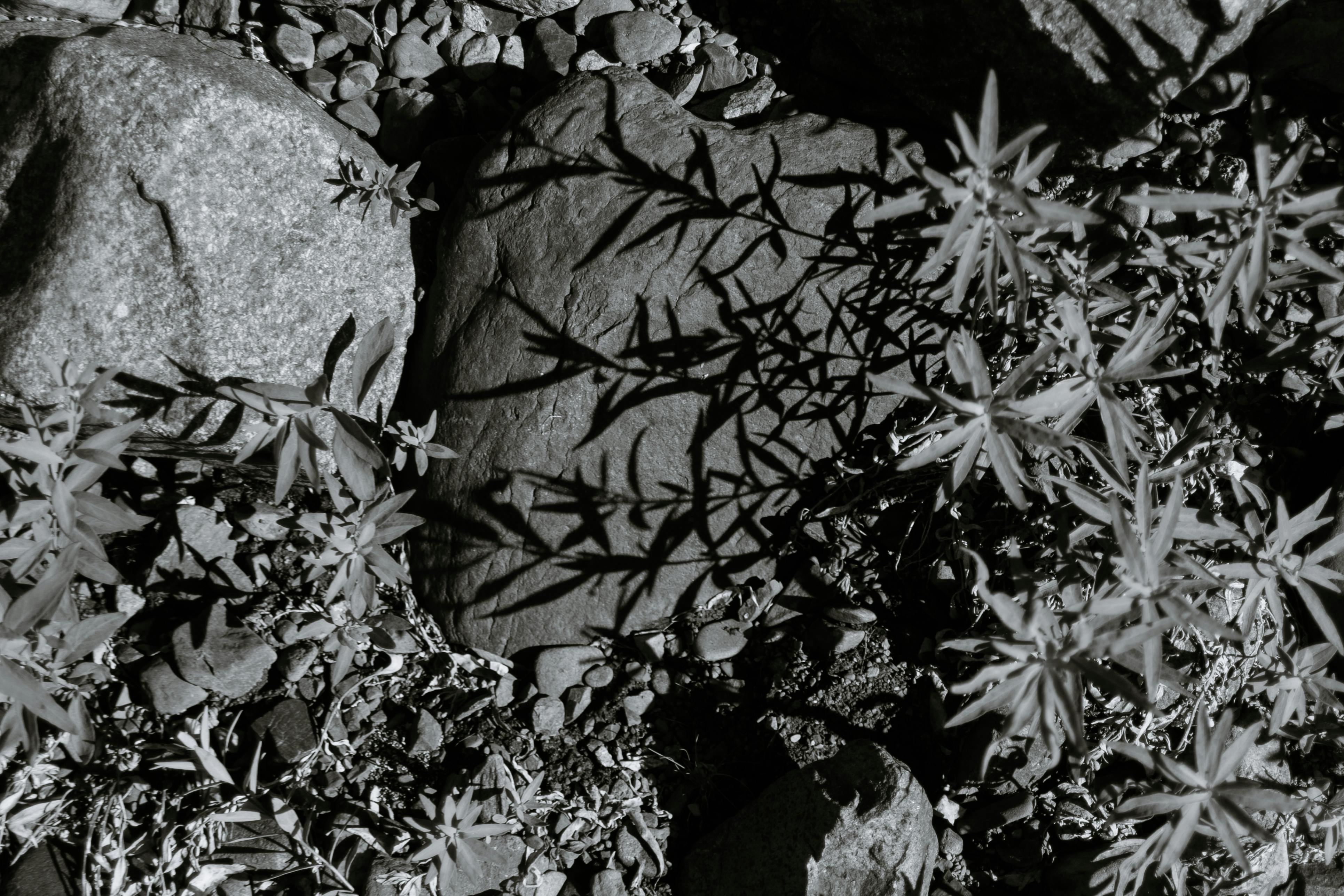 How do you pass a big hard stool?