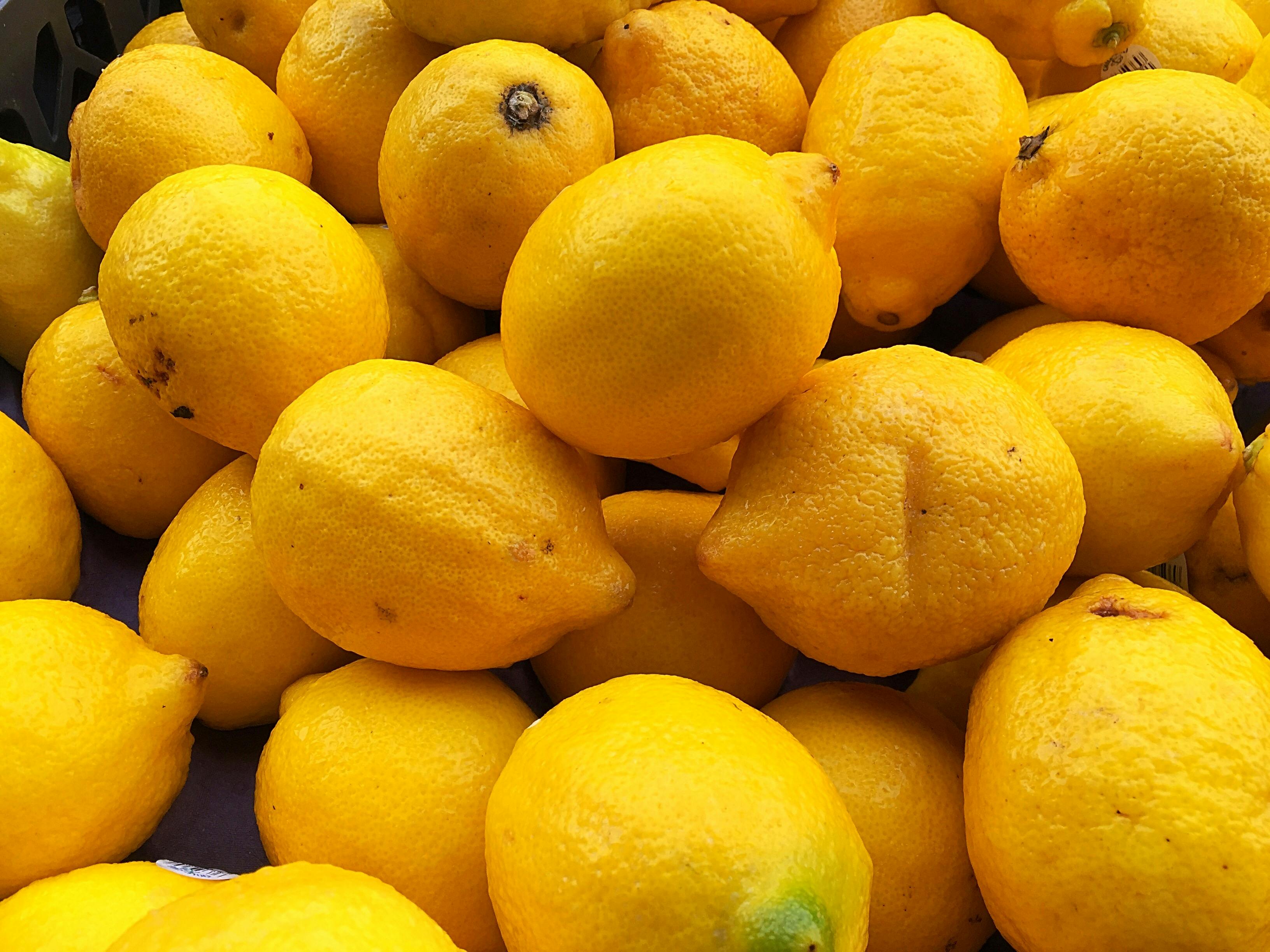 Kumpulan Gambar Buah Lemon Hitam Putih | Hitamputih44