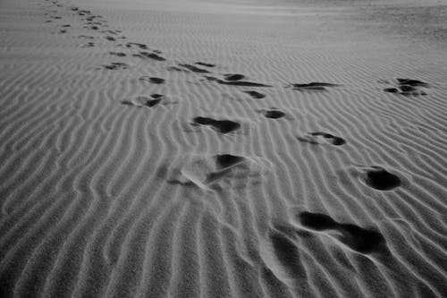 Black and white of rows of footprints on empty wavy sandy shore in daytime