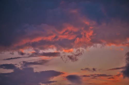 구름, 대조, 새벽의 무료 스톡 사진